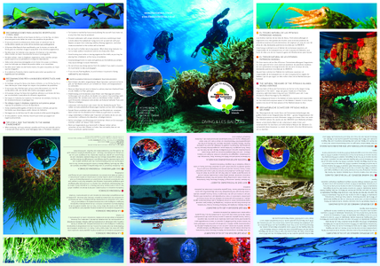 https://alcudiamallorca com/pdf/brochures/alcudia/multi/diving illes balears pdf