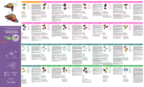 https://alcudiamallorca com/pdf/brochures/mallorca/multi/guia de mariposas de las islas baleares pdf